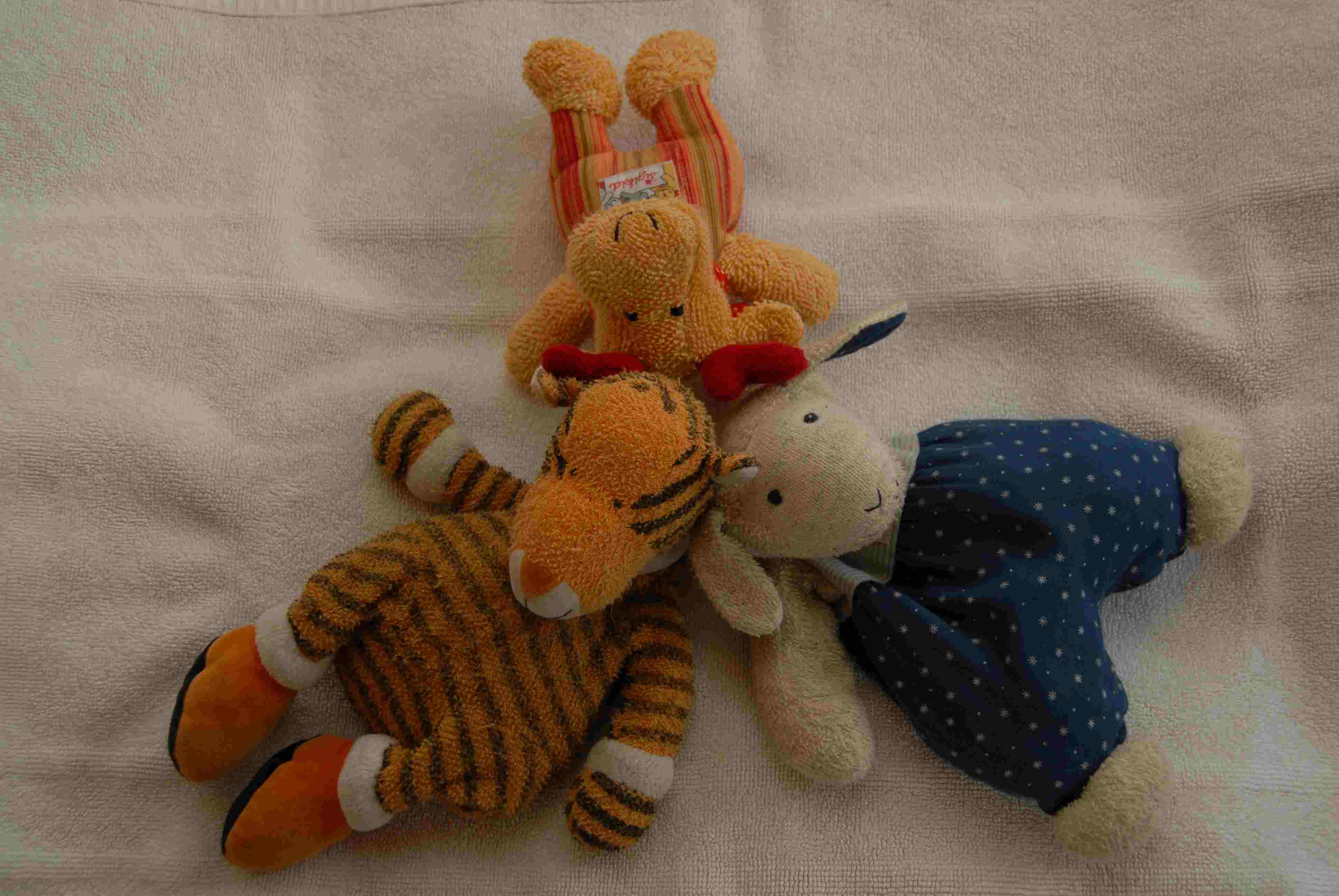 toute la famille en circle